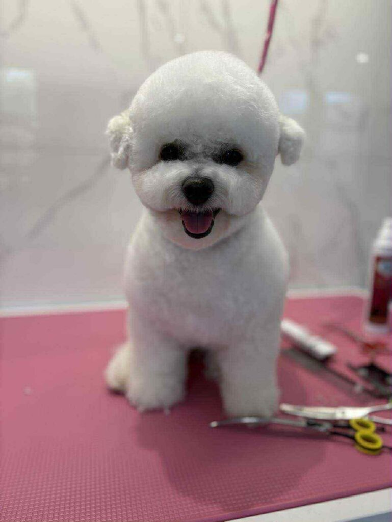 0eb4557c 7565 4d53 a797 9ac7f8006e98 0eb4557c 7565 4d53 a797 9ac7f8006e98