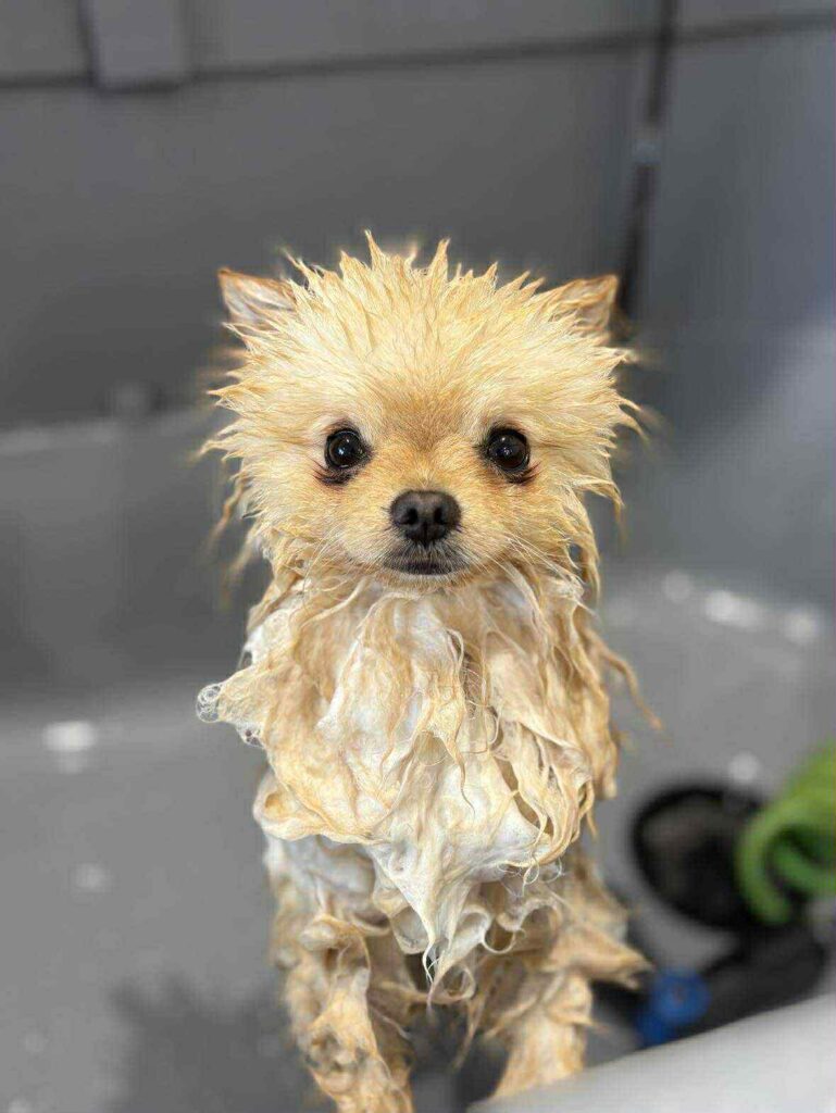 26ba5960 f3ca 4000 bd3d 87f4976e5830 26ba5960 f3ca 4000 bd3d 87f4976e5830