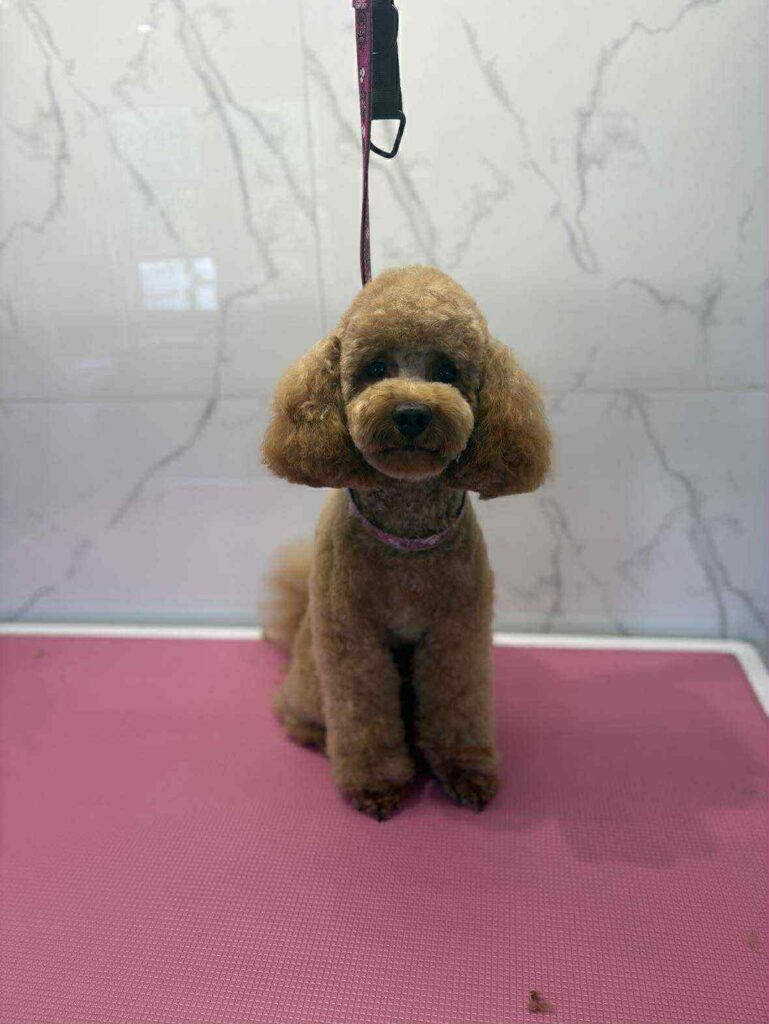 7e44e88b 0a16 46c8 8880 631da506119a 7e44e88b 0a16 46c8 8880 631da506119a